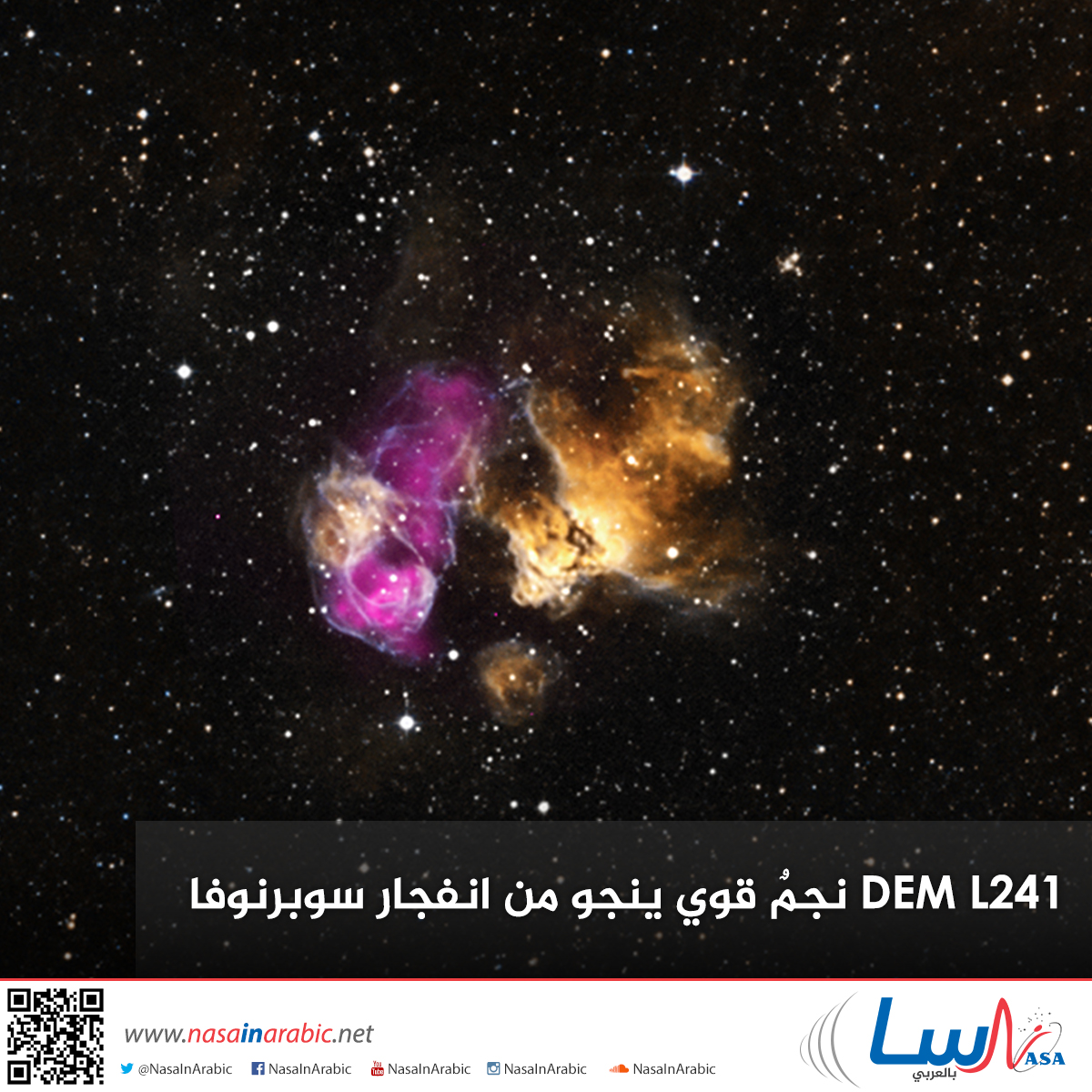 DEM L241 نجمٌ قوي ينجو من انفجار سوبرنوفا