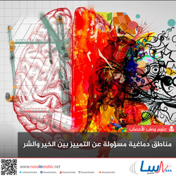 مناطق دماغية مسؤولة عن التمييز بين الخير والشر