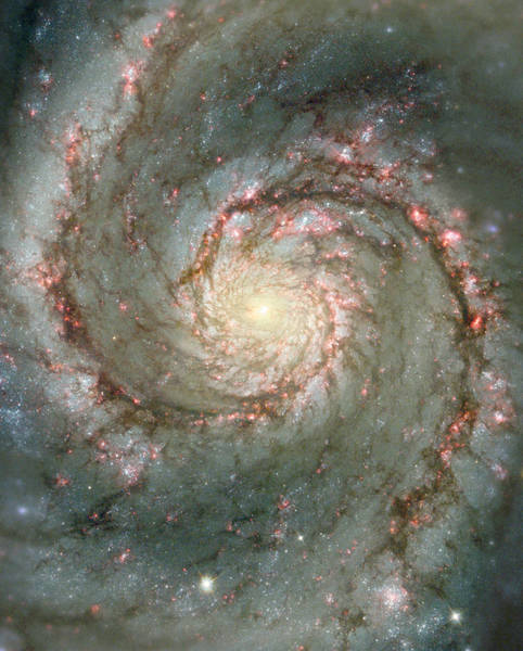 مجرة الدوامة هي مجرة حلزونية كلاسيكية. M51 واحدة من بين ألمع وأجمل المجرات في السماء، تبعدُ حوالي 30 مليون سنة ضوئية وتمتد على حوالي ستون ألف سنةٍ ضوئيةٍ وتُعرف أيضا باسم NGC 5194. تُمثل هذه الصورةُ تركيباً رقمياً لصورةٍ من التلسكوب الأرضي للمرصدِ الوطني Kitt Peak ذي القطر 0,9 متر وأخرى من الفضاء من تلسكوب هابل، وهي تُظهر مَعالِماً دقيقةً من المفترض أن تكونَ حمراءٌ جداً لكي تُرى