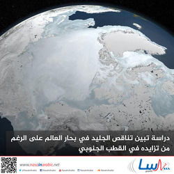 دراسة تبين تناقص الجليد في بحار العالم على الرغم من تزايده في القطب الجنوبي