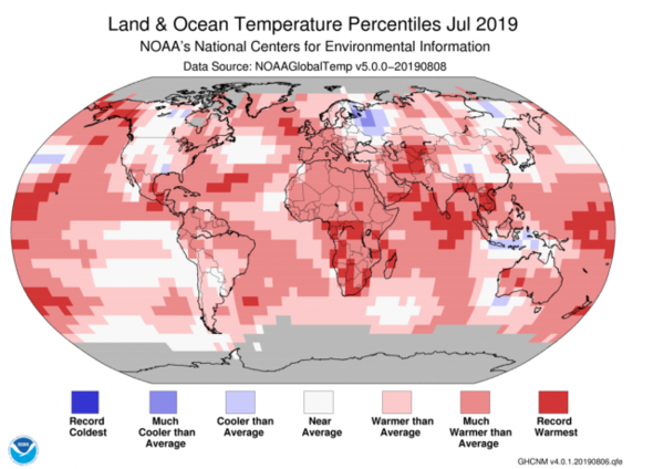 خريطة حرارة عالمية تُظهر أنّ الكوكب بأكمله تقريباً كان أسخن من المتوسط خلال شهر تموز/يوليو، 2019.  حقوق الصورة: NOAA