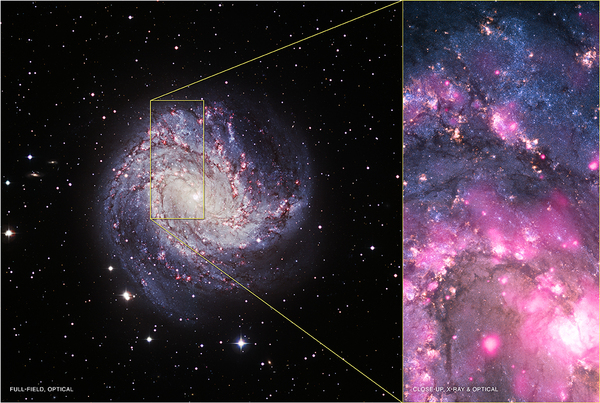 صورة مرئية لمجرة M83. على اليمين صورة مركبة تظهر بيانات أشعة إكس الخاصة بمرصد تشاندرا باللون الوردي، والبيانات البصرية الخاصة بتليسكوب هابل باللونين الأزرق والأصفر. يقع مصدر الأشعة السينية فائق التألق والمعروف اختصاراً بـ ULX بقرب قاع الصورة المُركبة. (ملاحظة: مصدر أشعة إكس فائق التألق في الفلك (بالإنجليزية: ultra-luminous X-ray source