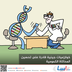 خوارزميات جينية قادرة على تحسين المحاكاة الكمومية