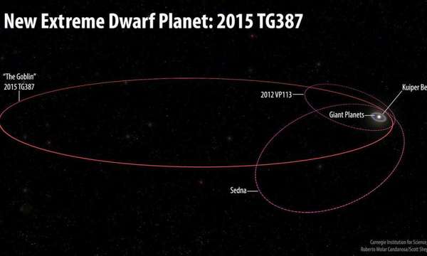 تقارن هذه الصورة بين حجم مدارات النظام الشمسي وكوكب القزم المتطرف الجديد 2015 TG387 ورفاقه من أجسام سحابة أورت الداخلية 2012 VP113 وسيدنا Sedna. أطلق المكتشفون لقب "العفريت- The Goblin" على 2015 TG387، حيث أنّ التسمية المؤقتة لها تحتوي على حرفي TG ورُصِد هذا الجسم لأول مرة قبيل عيد الهالووين. يتمتع TG387 2015 بنصف محورٍ رئيسي أكبر من VP113 2012 أو سيدنا، مما يعني أنه يسافر لمسافةٍ أبعد من الشمس في أبعد نقطة له في مداره، أي نحو 2300 وحدة فلكية.  حقوق الصورة: Roberto Molar Candanosa and Scott Sheppard, courtesy of Carnegie Institution for Science