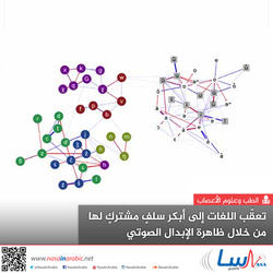 تعقّب اللغات إلى أبكر سلفٍ مشتركٍ لها من خلال ظاهرة الإبدال الصوتي