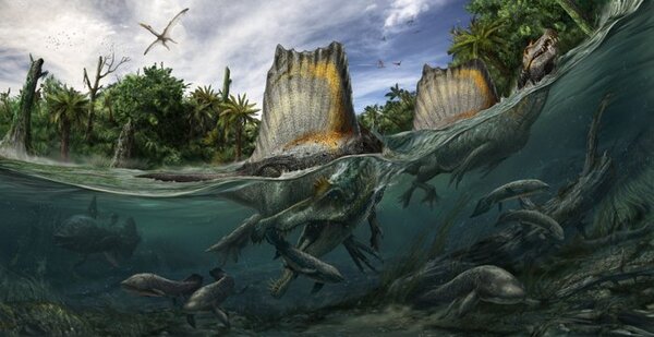 السحلية الشوكية Spinosaurus آكلة الأسماك، ذات الظهر الشراعي. (حقوق الصورة: Davide Bonadonna)
