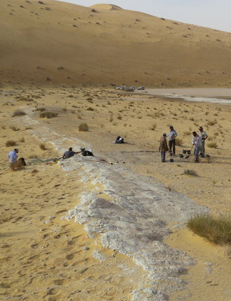 منظر من منطقة الوسطى في المملكة العربية السعودية حيث وجد علماء الآثار الإصبع الأحفوري للإنسان العاقل. تحيط الكثبان الرملية في صحراء النفوذ بقاع البحيرة القديمة (البيضاء). المصدر: Michael Petraglia