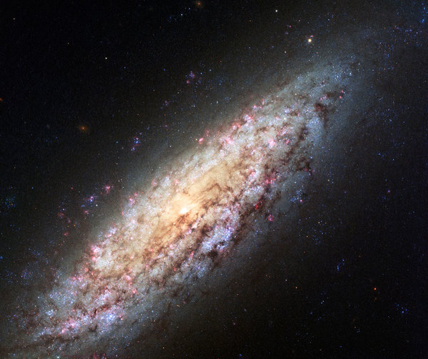 المجرة NGC 6503 صورة التليسكوب هابل التابع لوكالتي (ناسا و إيسا) للمجرة NGC 6503. تبعد هذه المجرة عنا مسافة 18 مليون سنة ضوئية تقريباً، وتقع على حافة منطقة خالية من المجرات، تسمى (الفجوة المحلية)، بصورة مثيرة للاستغراب. هذه الصورة الغنية بالألوان تضيف تفاصيلاً كثيرة لصورة أخرى لنفس المجرة.