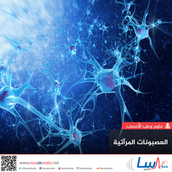 العصبونات المرآتية: أدوارها ووظيفتها (الجزء الأول)