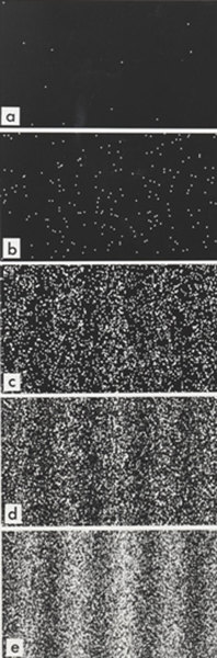 تظهر نتائج تجربة الشقين التي قام بها الدكتور تونومورا Tonomura، نمطَ التداخل المتشكل لإلكترونات مُفردة. عدد الإلكترونات في الصور هو 11 (a), 200 (b), 6000 (c), 40000 (d), 140000 (e).