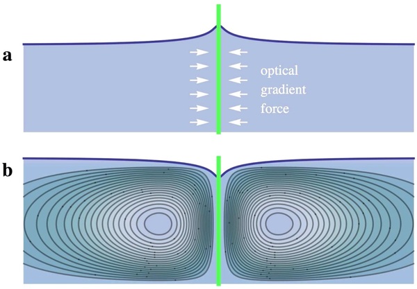 (أ) كمية حركة الضوء وفقاً لنموذج مينكوفسكي، و(ب) كمية حركة الضوء وفقاً لنموذج ابراهيم. Credit: Zhang, et al.