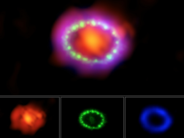 في الصورة التالية، يظهر المستعر النجمي SN 1987A بثلاثة أطوال موجية مختلفة للضوء وهي: الأشعة تحت الحمراء (الأحمر والبرتقالي) والأشعة المرئية (الأخضر)وأشعة إكس (الأزرق والبنفسجي). NASA/ESA/NRAO/AUI/NSF; Hubble; Chandra; ALMA