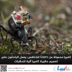 كاميرا محمولة من Gopro للخنافس: يعمل الباحثون على تصميم حقيبة كاميرا آلية للحشرات