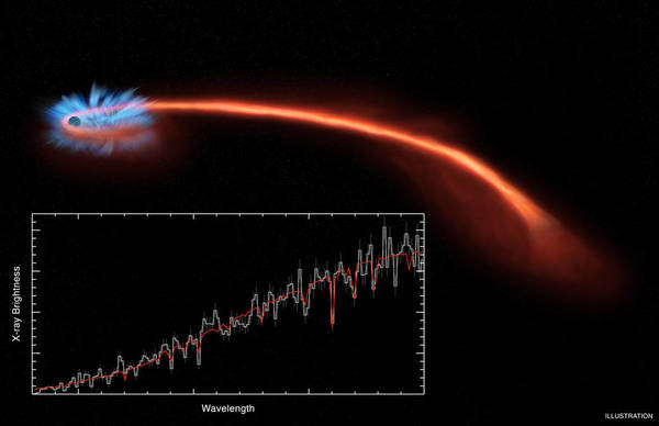بينما تهوي المادة المكونة للنجوم داخل الثقب الأسود، تنبعث منها أشعة سينية (أشعة إكس). تُظهر الأجهزة بياناتٍ جُمِعت بواسطة ثلاثة تلسكوبات، حيث يشير المحور العمودي إلى شدة سطوع الأشعة السينية، بينما يشير المحور الأفقي إلى طول الموجة. المصدر: NASA/CXC/U. Michigan/J. Miller et al.; Illustration: NASA/CXC/M. Weiss