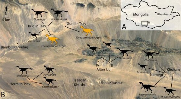 حوض نيميغت في منغوليا والذي يمثل مركزاً للأوفيرابتوروصور. تمثل الظلال الصفراء المواطن المعروفة (إلى اليمين) والمواطن المحتملة (اليسار) للنوع الجديد من الديناصورات. حقوق الصورة: GREGORY FUNSTON, UNIVERSITY OF ALBERTA