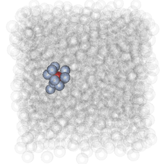 التواصل في سائل لزج. أظهرنا أنّ الجزيء الأحمر يتصل فقط مع مجموعةٍ مجاورةٍ مختارةٍ (تظهر باللون الأزرق)، والجزيئات الشفافة الأخرى "مستبعدة" من "المحادثة".