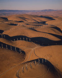 هل تحذر الطيور؟ مزرعة الرياح المثيرة للجدل في ألتامونت في كاليفورنيا. حقوق الصورة: Kevin Schafer/Riser/Getty Images