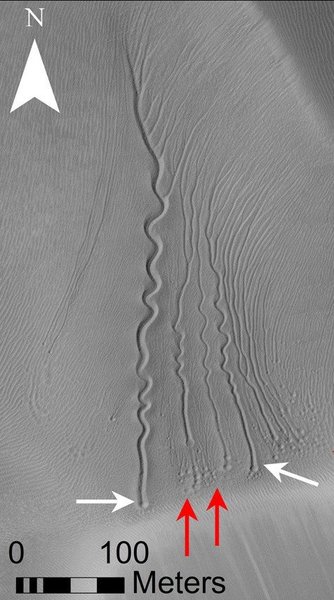 أخاديد خطية على كثب رملي في فوهة ماتارا على المريخ، وتشير الأسهم الحمراء والبيضاء إلى الحفر) حقوق الصورة NASA/JPL/University of Arizona