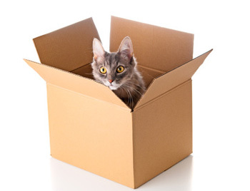 قادت فكرة التراكب عالم الفيزياء أرفين شرودينجر إلى الاعتقاد بأن قطة موجودة داخل صندوق ستكون ميتة وحية في الوقت نفسه طالما لم تنظر داخل الصندوق (هذه القطة على قيد الحياة بالتأكيد!).