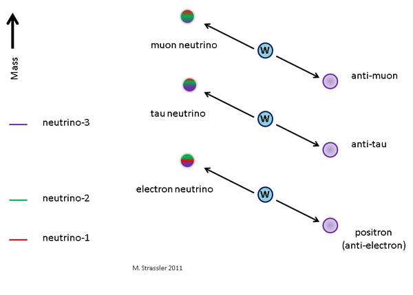 إلى اليسار، نيوترينوهات نوع الكتلة (نيوترينو1، ونيوترينو2، ونيوترينو3) لها كتل محددة (لا تزال غير معروفة، على الرغم من أن بعض الاختلافات في "تربيعات" (squares) كتلها معروفة من خلال القياسات المبينة أدناه) وإلى اليمين: نيوترينوهات نوع التفاعل الضعيف (الإلكترون نيوترينو والميون نيوترينو، والتاو نيوترينو)، التي سميت تبعاً للبتونات المشحونة التي تصاحبها عند تفاعلها مع جسيمات W موجبة الشحنة، وهي ناقل القوة النووية الضعيفة. ونيوترينو الإلكترون، هو مزيج من نيوترونات النوع الكتلي الثلاثة، في حين أن نيوترينو3 هو مزيج من النيوترينوات من نوع التفاعل الضعيف.