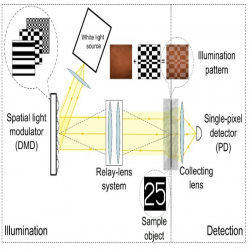 كاميرا أحادية البيكسل تأخذ صوراً عبر نسيج الصدر