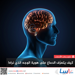 كيف يتعرّف الدماغ على هوية الوجه الذي نراه!