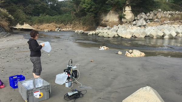 فيرجيني سانيال، عالمةٌ من معهد وودز هول لعلوم المحيطات، تأخذ عينات المياه الجوفية تحت الشواطئ في اليابان. كما قامت بغرس أنابيب يتراوح طولها بين 3 و7 أقدام في الرمال، وضخ المياه الجوفية الكامنة، وتحليل محتوها من السيزيوم 137. حقوق الصوة مات شاريت Matt Charette معهد وودز هول لعلوم المحيطات.