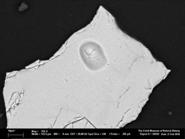 صورة بالمجهر الإلكتروني لمقطع عرضي مصقول من مغزل كروم Chrome Spinel تم الحصول عليها من جسيمات نيزكية مجهرية يعتقد العلماء أنها قادمة من الكويكب 4 Vesta. حقوق الصورة: © Philipp Heck, The Field Museum