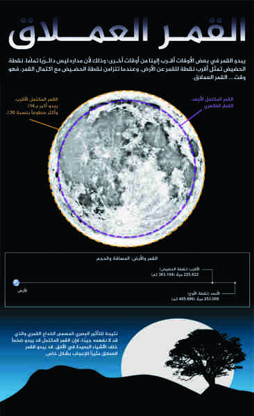 يمكن للقمر العملاق أن يظهر أكثر إشراقاً بـ 30% وأكبر بـ 14% من الأقمار الكاملة النموذجية. حقوق الصورة:Karl Tate/SPACE.com