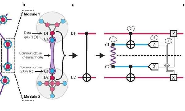 نظرة عامة للشبكة المعمارية الكمومية الجزيئية المثبتة في الدراسة الجديدة.  حقوق الصورة: Yale University