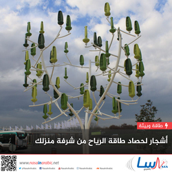 أشجار لحصاد طاقة الرياح من شرفة منزلك