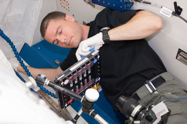 رائد الفضاء ريد وايزمان، يُجري إحدى جلساته مستخدمًا سبيكة التّجارب الغرويّة ثنائيّة المعادن C1 أثناء مهمّته على متن محطة الفضاء الدوليّة عام 2014.