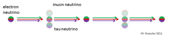 الشكل الثاني: الإلكترون نيوترينو، هو مزيج من نيوترينوهات نوع الكتلة الثلاثة، التي، بسبب كتلها المختلفة، سوف تتنقل في سرعات مختلفة قليلاً. وهذا يعني أن الإلكترون نيوترينو سوف يتطور إلى مزيج من ثلاثة نيوترينوهات من نوع التفاعل الضعيف، ثم يعود إلى نيوترينو الإلكترون. (في الواقع، إن هذا تبسيط شديد، حيث أن تذبذب ثلاثة أنوع من النيوترينو عادة ما يكون له ترددان، وليس واحداً كما هو مبين هنا.) إن هذا التأثير، الحسّاس للاختلافات في تربيعات كتل النيوترينو وللمزج بين نيوترينوهات نوع الكتلة ونوع التفاعل الضعيف، قابل للقياس ويمكن أن يستخدم كمجس قوي لخصائص النيوترينو.