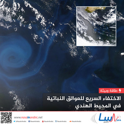 الاختفاء السريع للعوالق النباتية في المحيط الهندي
