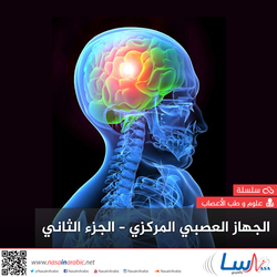 الجهاز العصبي المركزي-الجزء الثاني