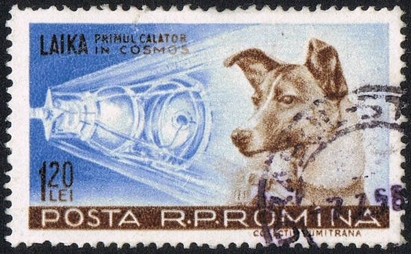 صورة لطابع بريدي تذكاري في رومانيا يُظهر الكلبة لايكا وهي أول كلبةٍ انطلقت إلى الفضاء.  Wikipedia Commons حقوق الصورة: