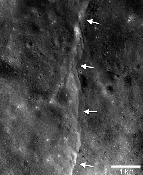أظهرت الصور التي التقطتها كاميرا المستكشف المداري القمري Reconnaissance Orbiter Camera آلاف المنحدرات الصدعية المفصصة والدفعية حديثة التشكّل. تُشبه المنحدرات المفصصة الظاهرة في هذه الصورة عتبات أو درج ضمن هذا المشهد المُتشكّل نتيجة اندفاع مواد القشرة معاً وتحطمها ومن ثم انطلاقها باتجاه الأعلى على طول الصدع مُشكّلة جُرفاً صخرياً. تُؤدي عملية تبريد باطن القمر الساخن إلى حدوث تقلّص في حجم القمر نفسه، لكن نمط اتجاهات هذه المنحدرات الصدعية يُشير إلى أن القوى المدّية تلعب دوراً مهماً في تشكّل الصدوع حديثة التشكّل. حقوق الصورة: ناسا/المستكشف المداري القمري/جامعة ولاية أريزونا/مؤسسة سميثسونيان