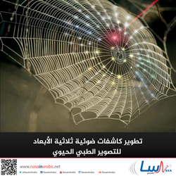 تطوير كاشفات ضوئية ثلاثية الأبعاد للتصوير الطبي الحيوي