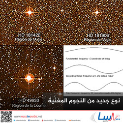 نوع جديد من النجوم المغنية