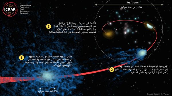 يُظهر هذا الرسم التخيلي لعملية "الإخماد" مجرةً زرقاء اعتيادية (من المجرات التي تتشكل فيها النجوم) خسرت غازاتها لدى انضمامها إلى عنقود كوما في مرحلة مبكرة من تكوينها. المصدر: Cameron Yozin, ICRAR/UWA.