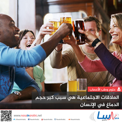 العلاقات الاجتماعية هي سبب كبر حجم الدماغ في الإنسان