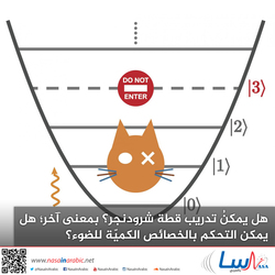 هل يمكنُ تدريب قطة شرودنجر؟ بمعنى آخر؛ هل يمكن التحكم بالخصائص الكميّة للضوء؟
