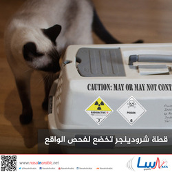 قطة شرودينجر تخضع لفحص الواقع