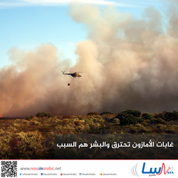 غابات الأمازون تحترق والبشر هم السبب