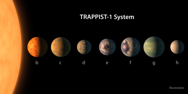 يظهر هذا الرسم التخيلي ما قد تكون عليه كواكب النظام TRAPPIST-1، وذلك بناء على البيانات المتوفرة حول أحجامها وكتلتها والمسافات المدارية. Credits: NASA/JPL-Caltech