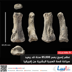 عظم إصبع بعمر 85,000 سنة قد يعيد صياغة قصة الهجرة البشرية من إفريقيا