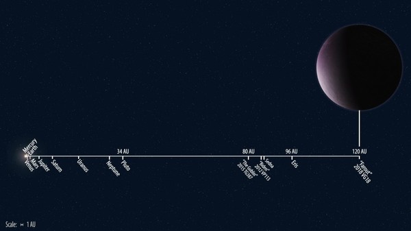 موقع الكوكب القزم 2018 VG18 مقارنةً مع مدارات كواكب النظام الشمسي الأخرى. إنهُ يرقى بالفعل إلى لقب "Farout" والذي يعني "بعيد"! حقوق الصورة: Roberto Molar Candanosa / Carnegie Institution for Science