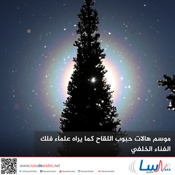 موسم هالات حبوب اللقاح كما يراه علماء فلك الفناء الخلفي