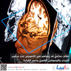 نظامٌ دماغيٌّ قد يساهم في التعويض عند مرضى التوحّد والوسواس القهريّ وعُسر القراءة