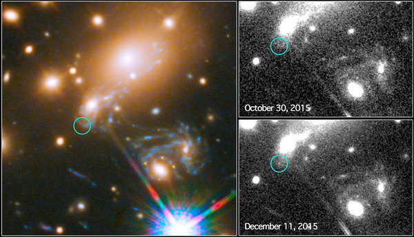 هذه الصورة المركبة تظهر عملية البحث عن المستعر الأعظم المسمى "ريفسدال" باستخدام تلسكوب هابل التابع لناسا ووكالة الفضاء الأوروبية. تظهر الصورة إلى اليسار جزءاً من أرصاد "الحقل العميق" للعنقود المجري MACS J1149.5+2223 من برنامج فرونتير فيلدز. تشير الدائرة إلى المكان المتوقع للظهور الأحدث للمستعر الأعظم. إلى اليمين نستطيع رؤية واقعة صليب أينشتاين من نهايات 2014. الصورة إلى أعلى اليمين تظهر الأرصاد التي قام بها تلسكوب هابل في شهر أكتوبر/تشرين الأول من سنة 2015، وذلك خلال بداية عملية الرصد للكشف عن أحدث ظهور لانفجار المستعر الأعظم. أما الصورة في أسفل اليمين فتظهر اكتشاف المستعر الأعظم ريفسدال في 11 ديسمبر/كانون الأول 2015 كما تنبأت نماذج عديدة مختلفة. حقوق الصورة: NASA & ESA and P. Kelly (University of California, Berkeley)